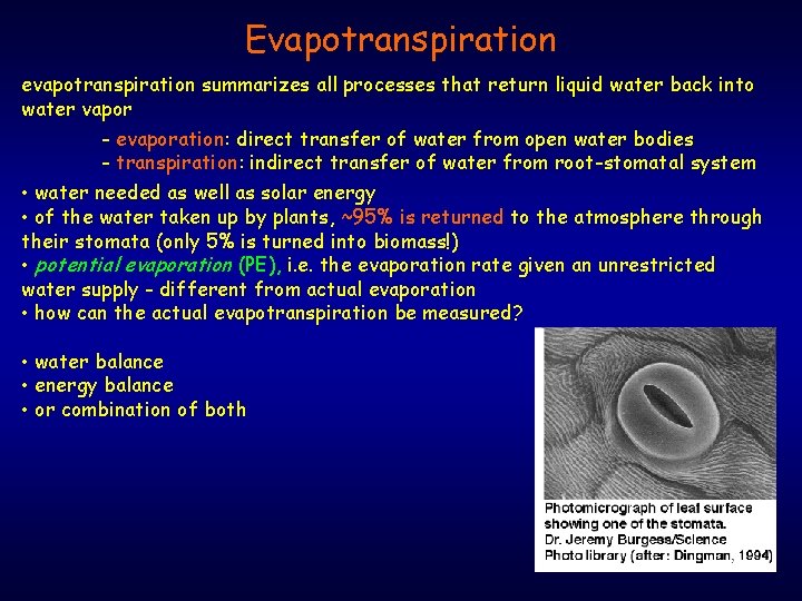 Evapotranspiration evapotranspiration summarizes all processes that return liquid water back into water vapor -