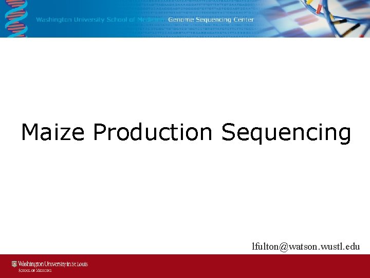Maize Production Sequencing lfulton@watson. wustl. edu 