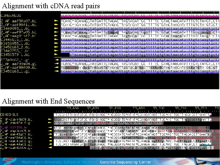 Alignment with c. DNA read pairs Alignment with End Sequences 