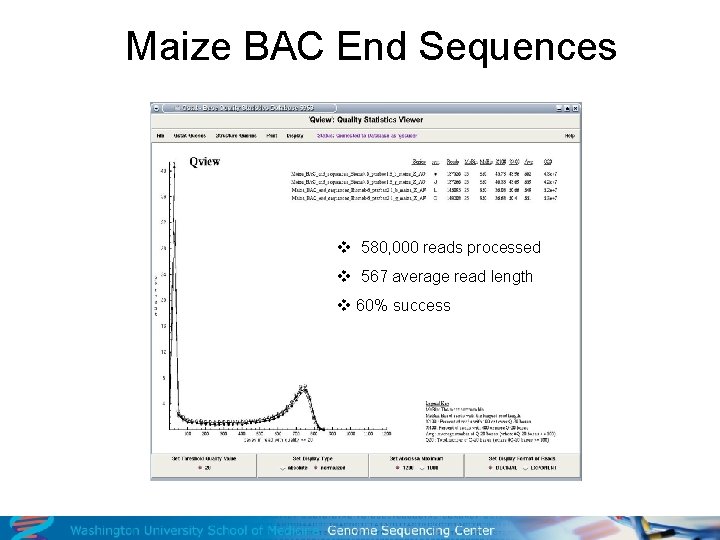 Maize BAC End Sequences v 580, 000 reads processed v 567 average read length