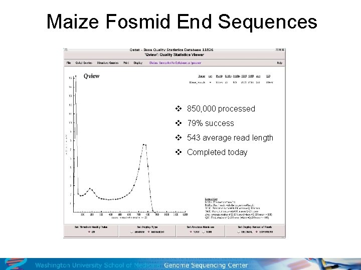 Maize Fosmid End Sequences v 850, 000 processed v 79% success v 543 average