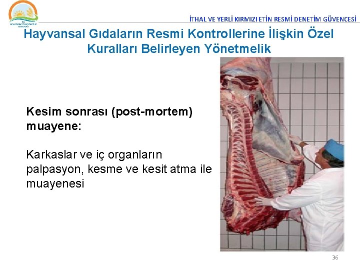 İTHAL VE YERLİ KIRMIZI ETİN RESMİ DENETİM GÜVENCESİ Hayvansal Gıdaların Resmi Kontrollerine İlişkin Özel