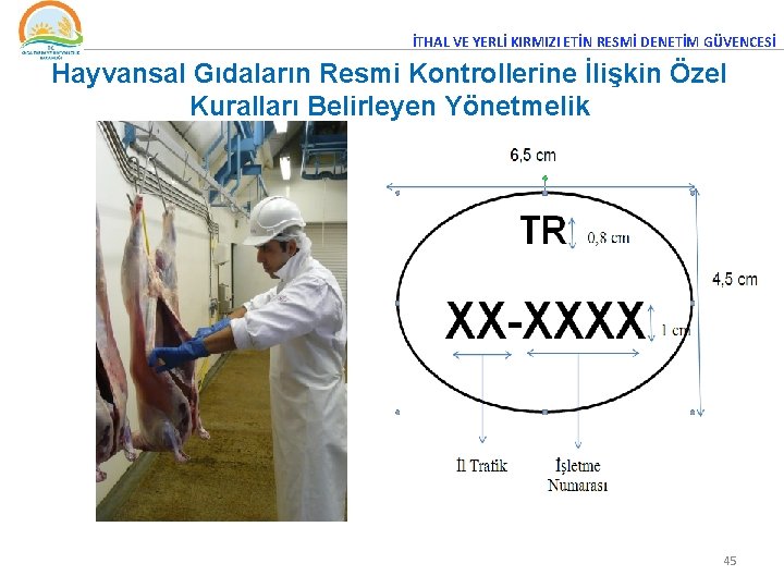 İTHAL VE YERLİ KIRMIZI ETİN RESMİ DENETİM GÜVENCESİ Hayvansal Gıdaların Resmi Kontrollerine İlişkin Özel