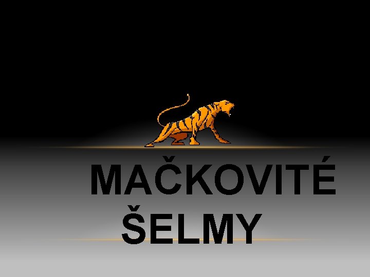 MAČKOVITÉ ŠELMY 