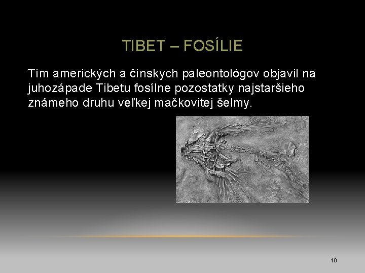 TIBET – FOSÍLIE Tím amerických a čínskych paleontológov objavil na juhozápade Tibetu fosílne pozostatky