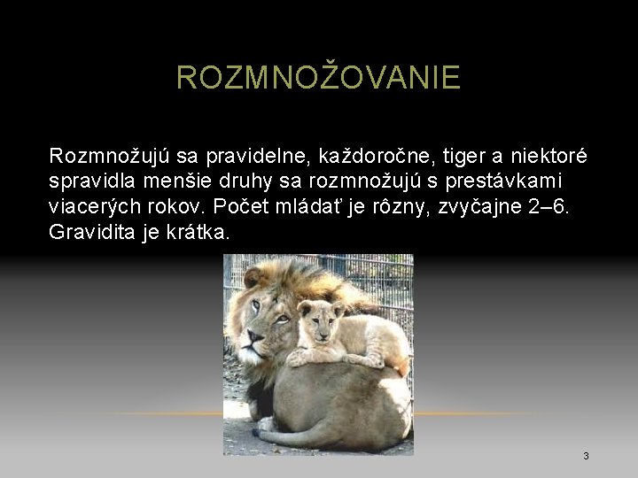 ROZMNOŽOVANIE Rozmnožujú sa pravidelne, každoročne, tiger a niektoré spravidla menšie druhy sa rozmnožujú s