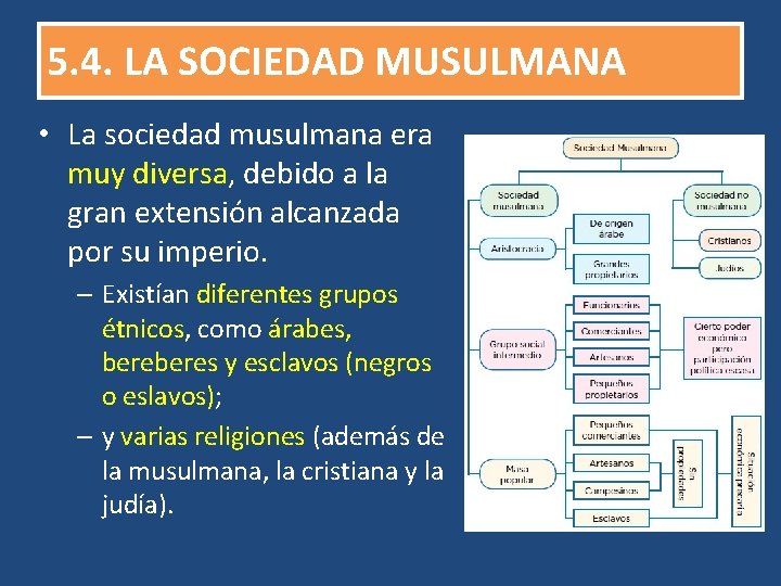 5. 4. LA SOCIEDAD MUSULMANA • La sociedad musulmana era muy diversa, debido a