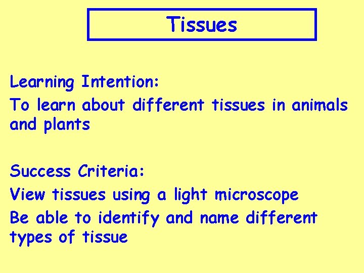 Tissues Learning Intention: To learn about different tissues in animals and plants Success Criteria: