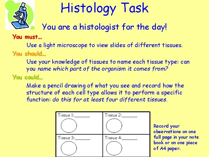 Histology Task You are a histologist for the day! You must… Use a light