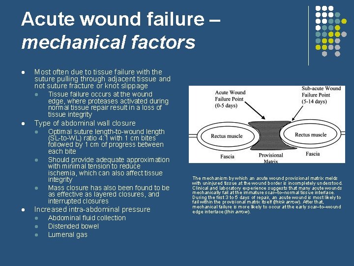 Acute wound failure – mechanical factors l Most often due to tissue failure with