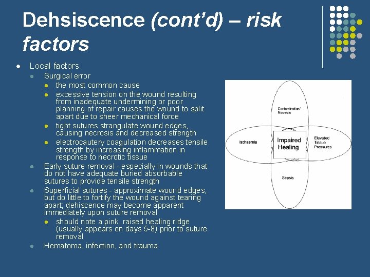 Dehsiscence (cont’d) – risk factors l Local factors l l Surgical error l the