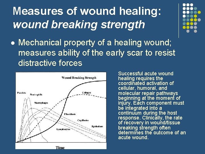 Measures of wound healing: wound breaking strength l Mechanical property of a healing wound;