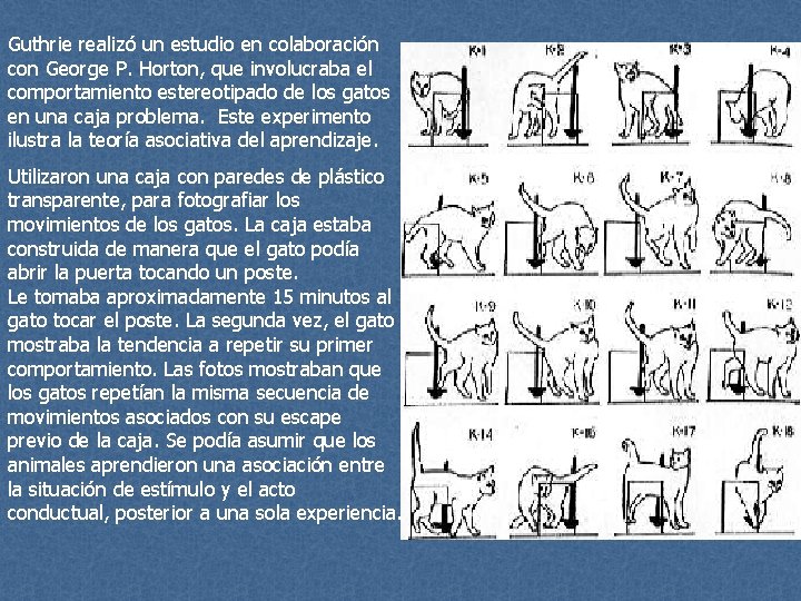 Guthrie realizó un estudio en colaboración con George P. Horton, que involucraba el comportamiento