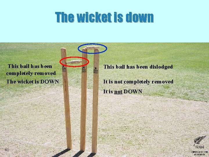The wicket is down This bail has been completely removed The wicket is DOWN The wicket is down This bail has been completely removed The wicket is DOWN