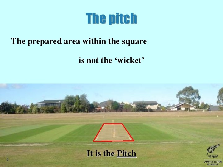 The pitch The prepared area within the square is not the ‘wicket’ 6 It The pitch The prepared area within the square is not the ‘wicket’ 6 It