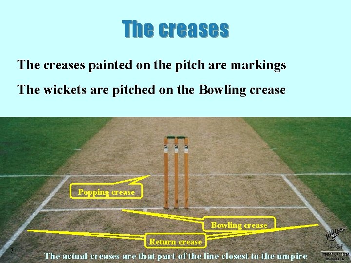 The creases painted on the pitch are markings The wickets are pitched on the The creases painted on the pitch are markings The wickets are pitched on the