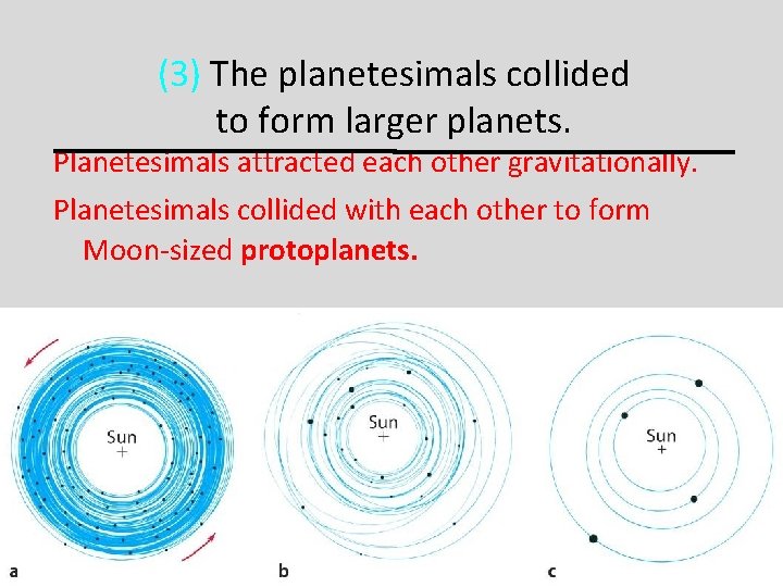 (3) The planetesimals collided to form larger planets. Planetesimals attracted each other gravitationally. Planetesimals