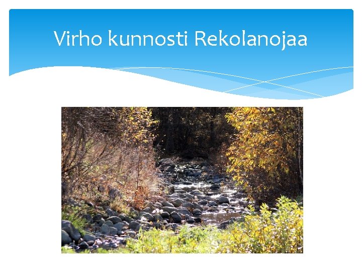 Virho kunnosti Rekolanojaa 