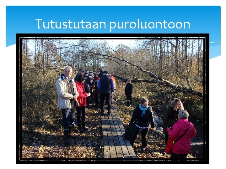 Tutustutaan puroluontoon 