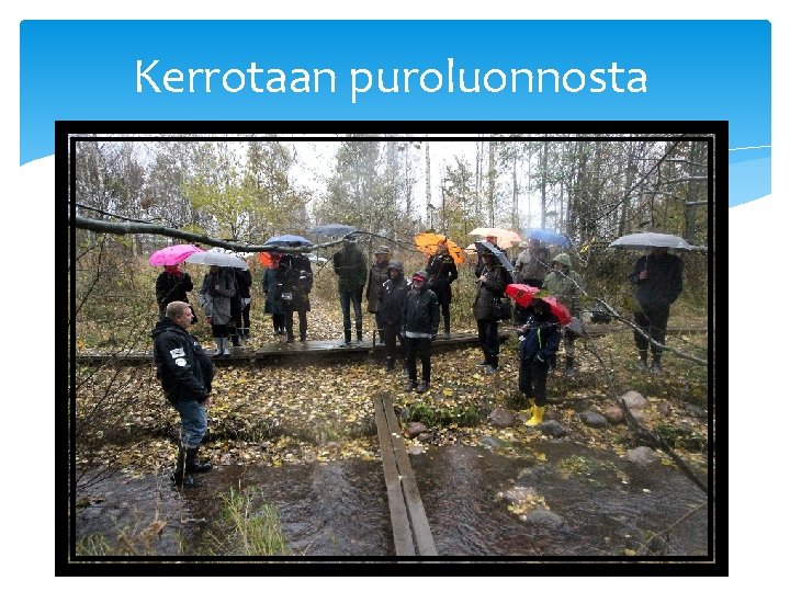 Kerrotaan puroluonnosta 