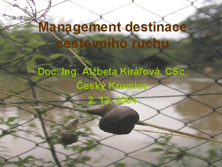 Management destinace cestovního ruchu Doc. Ing. Alžbeta Kiráľová, CSc. Český Krumlov 2. 12. 2004