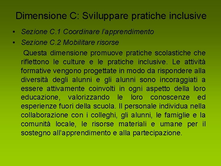 Dimensione C: Sviluppare pratiche inclusive • Sezione C. 1 Coordinare l’apprendimento • Sezione C.