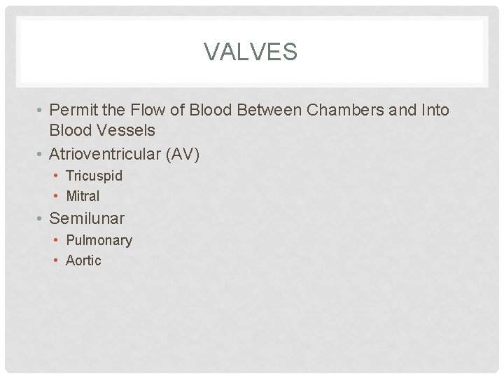 VALVES • Permit the Flow of Blood Between Chambers and Into Blood Vessels •