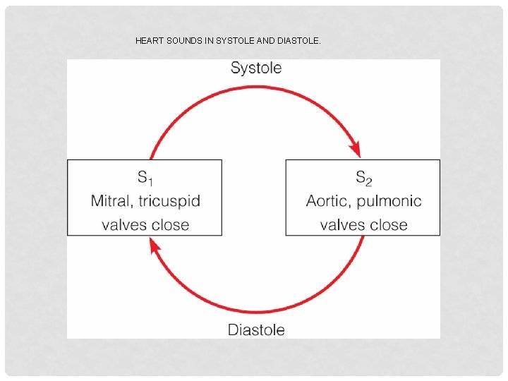 HEART SOUNDS IN SYSTOLE AND DIASTOLE. 