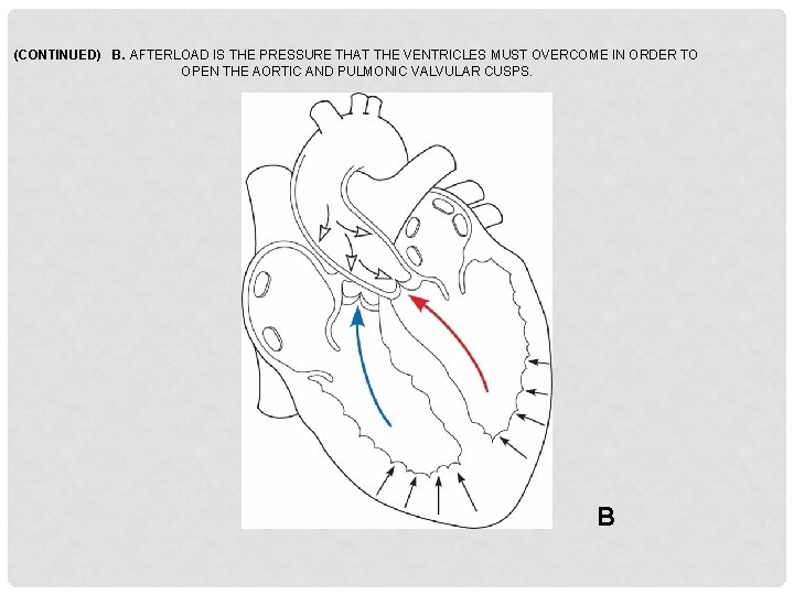 (CONTINUED) B. AFTERLOAD IS THE PRESSURE THAT THE VENTRICLES MUST OVERCOME IN ORDER TO
