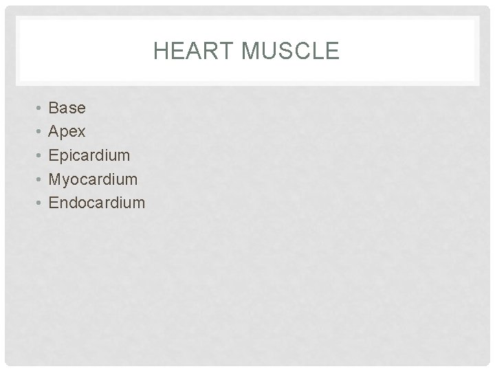 HEART MUSCLE • • • Base Apex Epicardium Myocardium Endocardium 