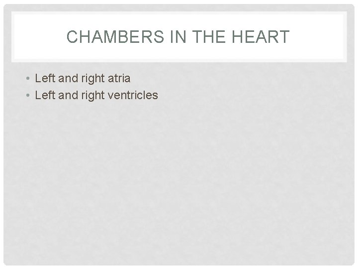 CHAMBERS IN THE HEART • Left and right atria • Left and right ventricles