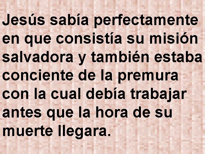 Jesús sabía perfectamente en que consistía su misión salvadora y también estaba conciente de