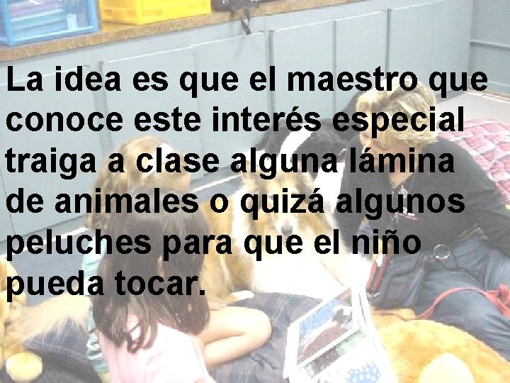 La idea es que el maestro que conoce este interés especial traiga a clase