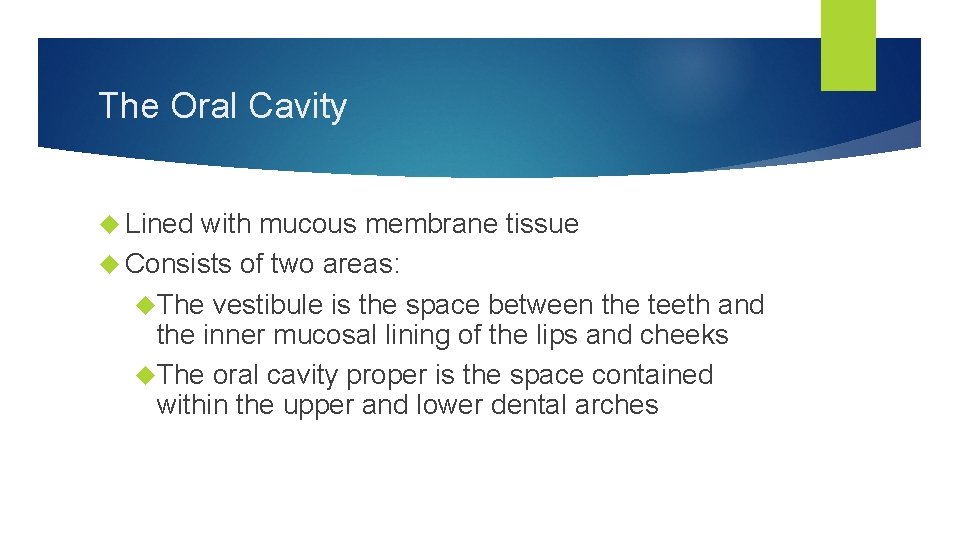 The Oral Cavity Lined with mucous membrane tissue Consists of two areas: The vestibule