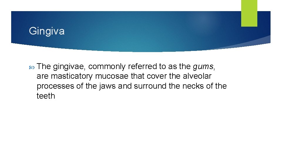 Gingiva The gingivae, commonly referred to as the gums, are masticatory mucosae that cover