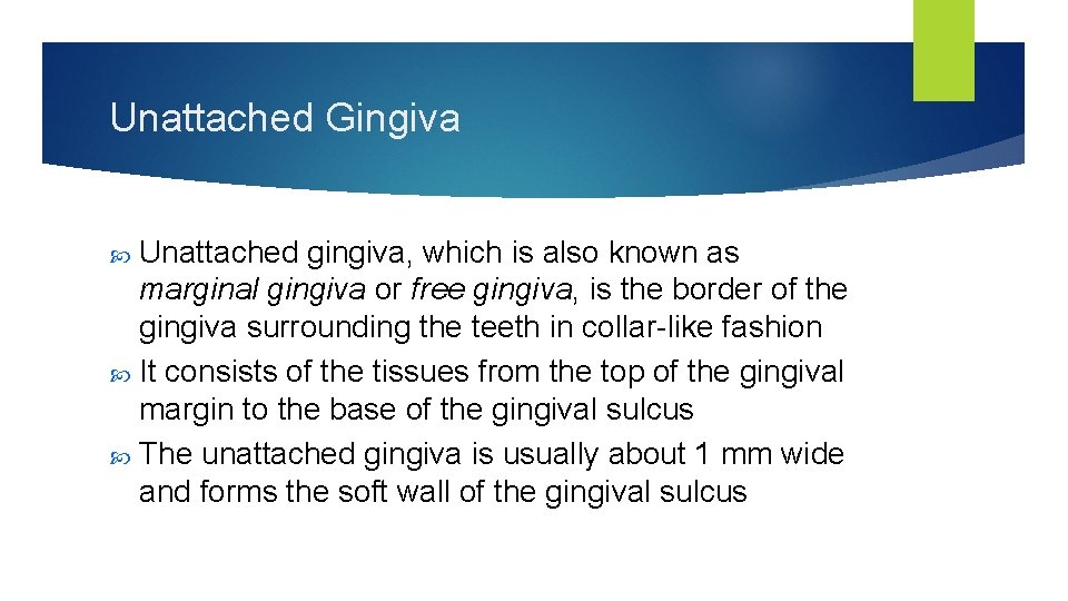 Unattached Gingiva Unattached gingiva, which is also known as marginal gingiva or free gingiva,