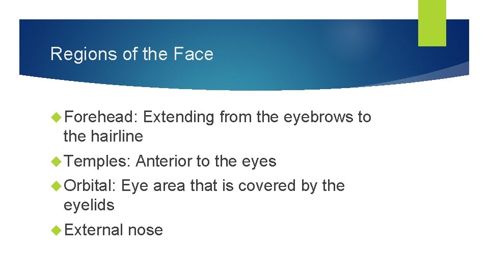 Regions of the Face Forehead: Extending from the eyebrows to the hairline Temples: Orbital: