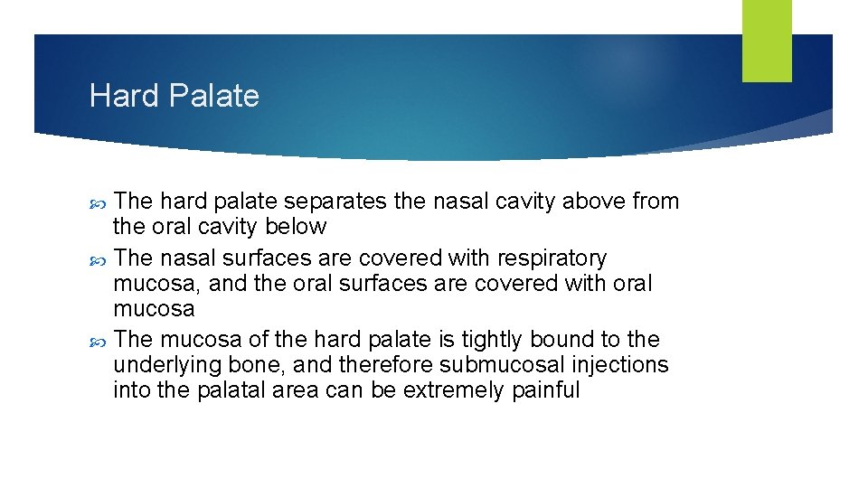 Hard Palate The hard palate separates the nasal cavity above from the oral cavity