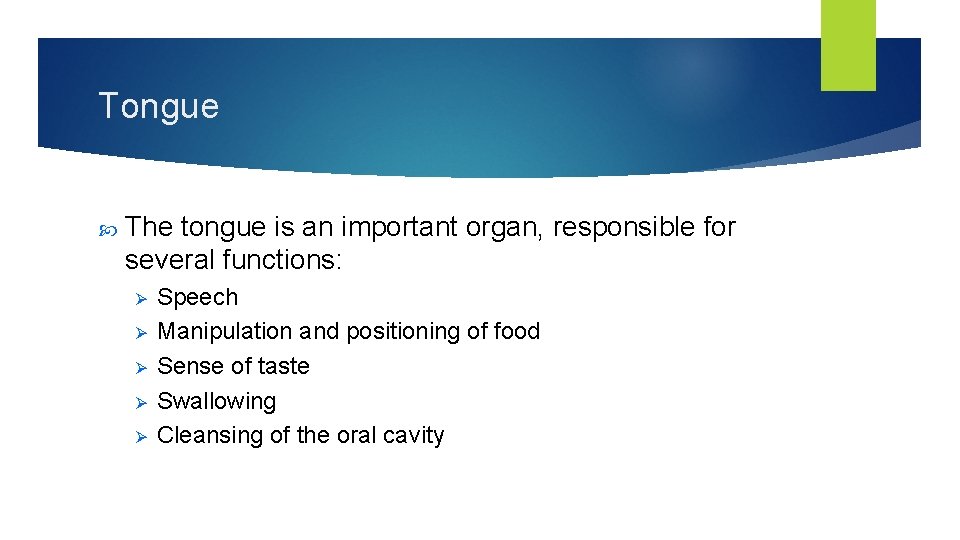 Tongue The tongue is an important organ, responsible for several functions: Ø Ø Ø