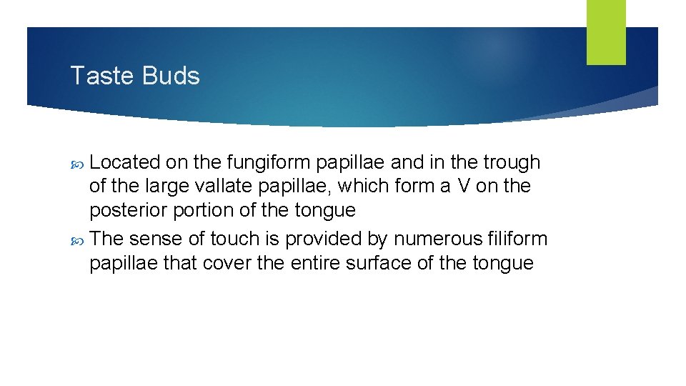 Taste Buds Located on the fungiform papillae and in the trough of the large