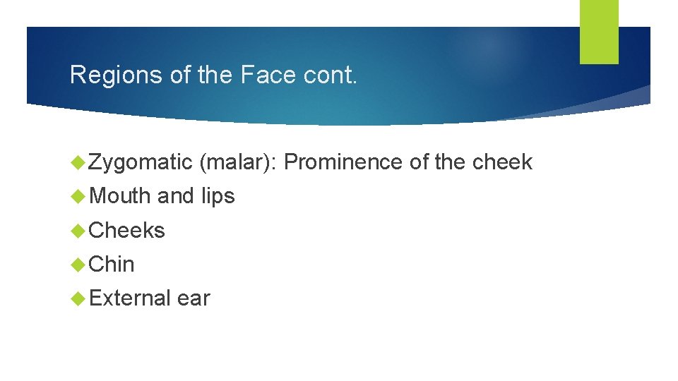 Regions of the Face cont. Zygomatic Mouth (malar): Prominence of the cheek and lips