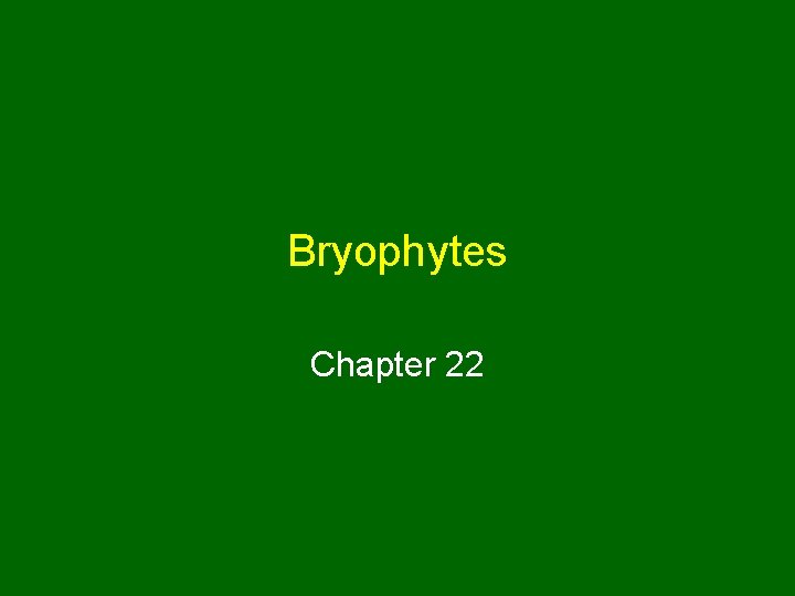 Bryophytes Chapter 22 