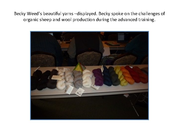 Becky Weed’s beautiful yarns –displayed. Becky spoke on the challenges of organic sheep and