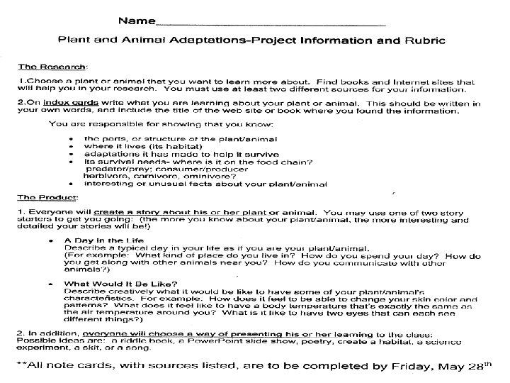 Inclusive Teaching: The Journey Towards Effective Schools for All Learners, 2 e Peterson /