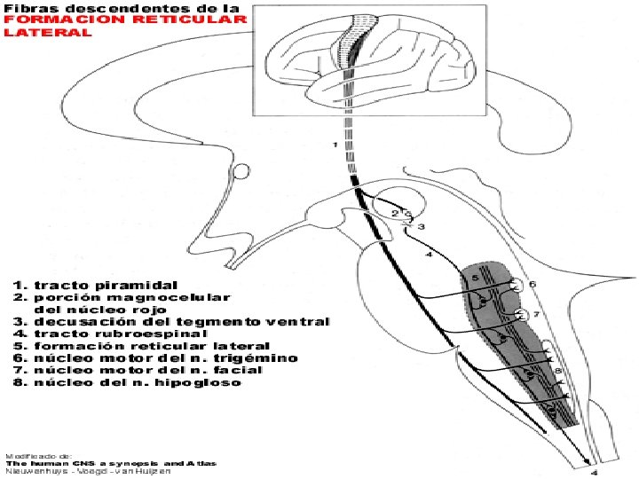 25/11/2020 Dr. Omar Diaz Tablas 14 