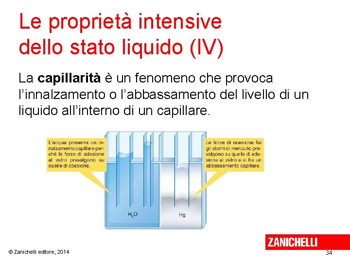 Le proprietà intensive dello stato liquido (IV) La capillarità è un fenomeno che provoca