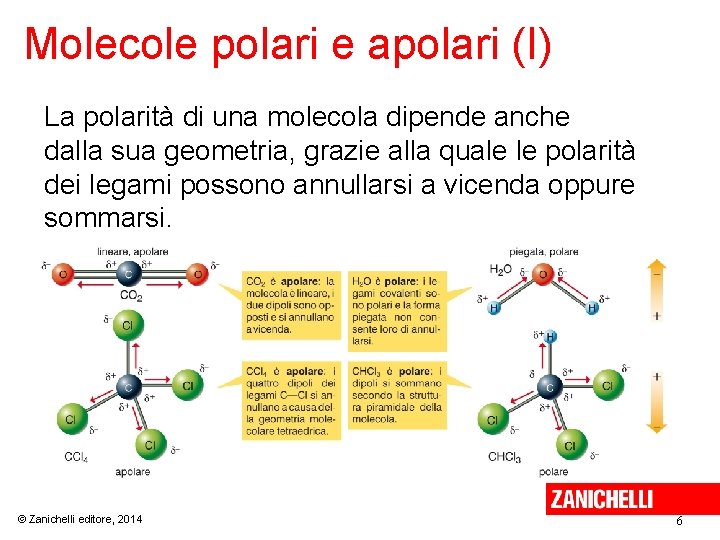 Molecole polari e apolari (I) La polarità di una molecola dipende anche dalla sua