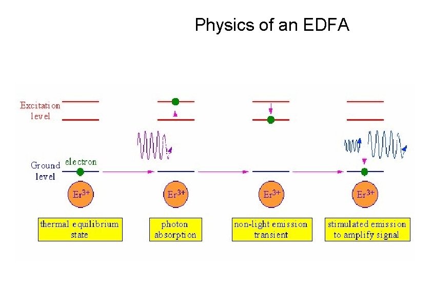 Physics of an EDFA 