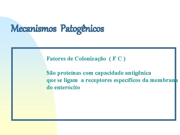 Mecanismos Patogênicos Fatores de Colonização ( F C ) São proteínas com capacidade antigênica Mecanismos Patogênicos Fatores de Colonização ( F C ) São proteínas com capacidade antigênica