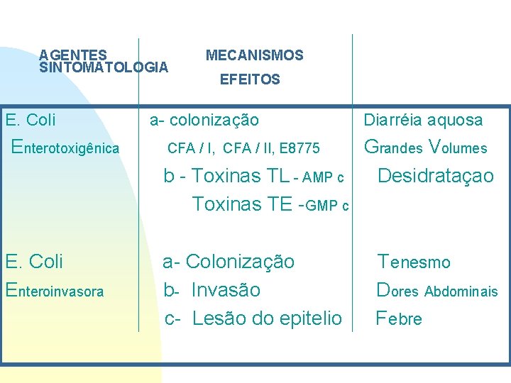 AGENTES SINTOMATOLOGIA E. Coli Enterotoxigênica MECANISMOS EFEITOS a- colonização CFA / I, CFA / AGENTES SINTOMATOLOGIA E. Coli Enterotoxigênica MECANISMOS EFEITOS a- colonização CFA / I, CFA /